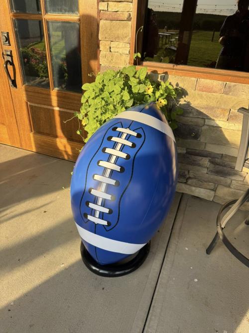 Foundation Football.jpg